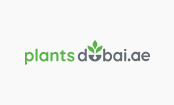 Plants Dubai